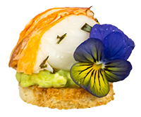 Piece of lobster on small round avocado toast garnished with edible flower