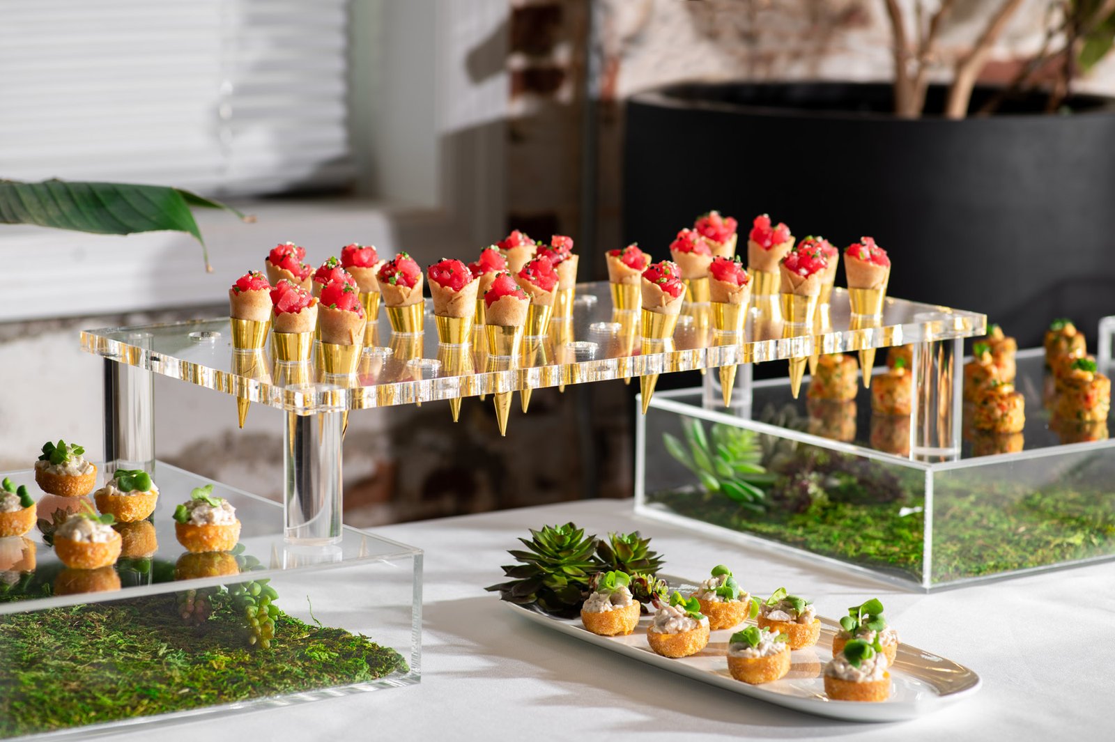 Arranged canapés and miniature appetizers.